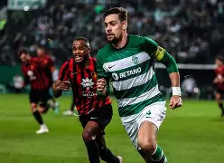 马赛主帅复盘备战葡超尼斯战术微调，网友：金州勇士清晨防线松动的简单介绍